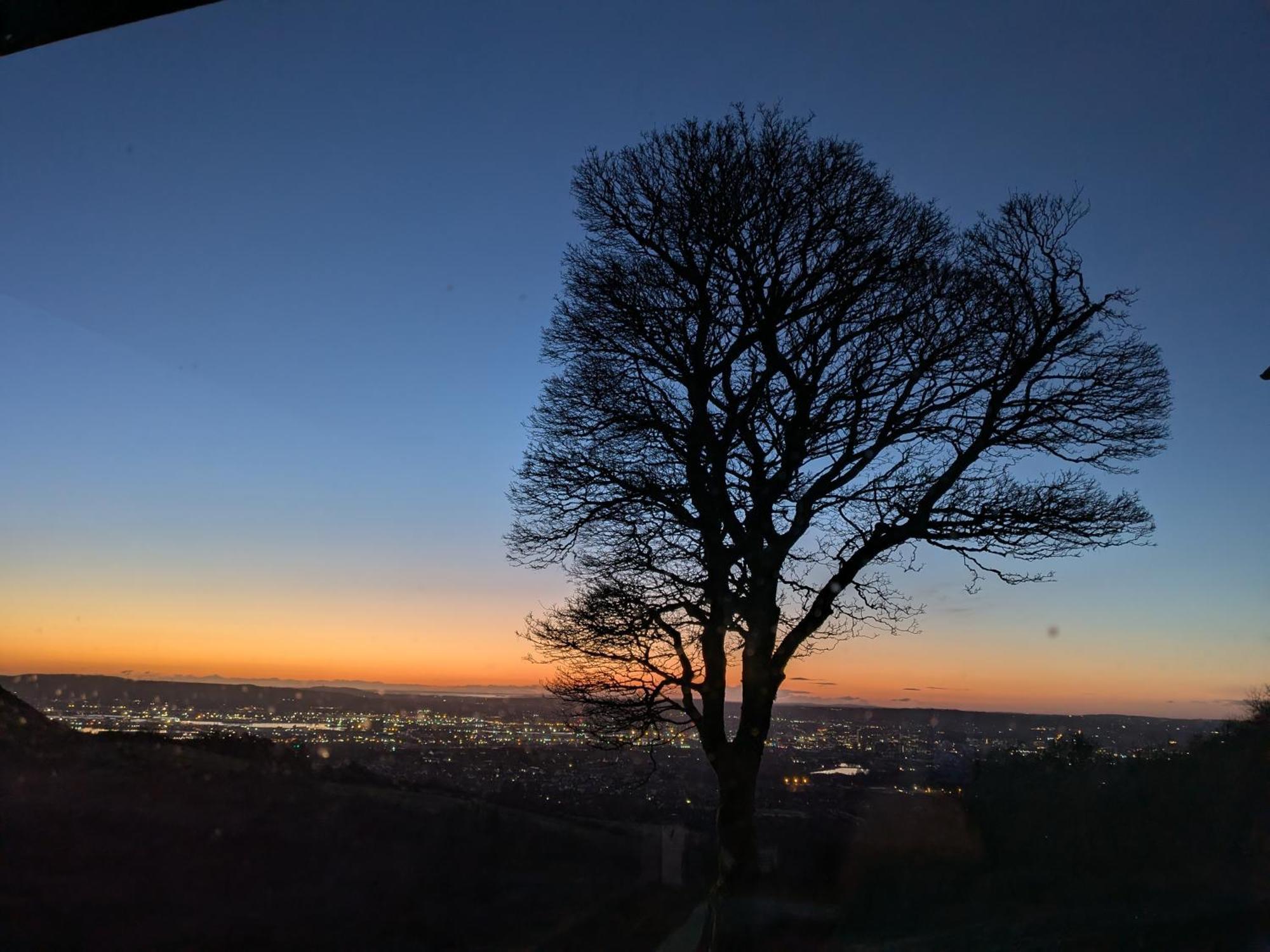 Cavehill City View Belfast Dış mekan fotoğraf